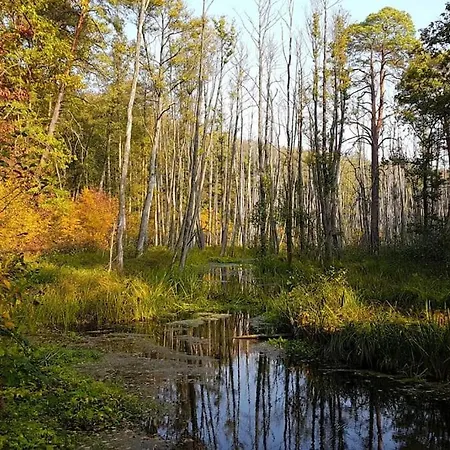 アパート Private Souterrain In The Of Berlin *