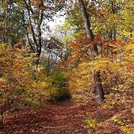 Private Souterrain In The Of Berlin *