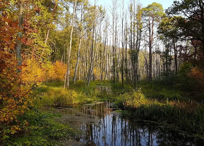 アパート Private Souterrain In The Of Berlin *