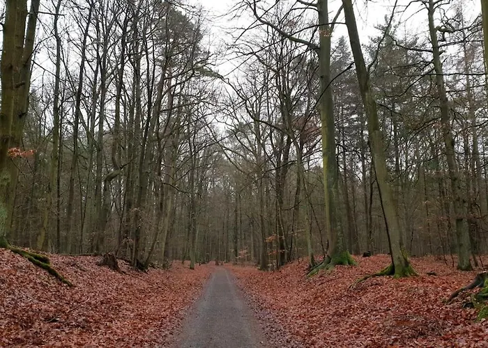 Private Souterrain In The Of Berlin Daire Birkenwerder