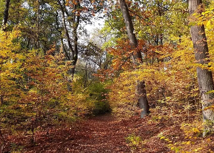 Private Souterrain In The Of Berlin *