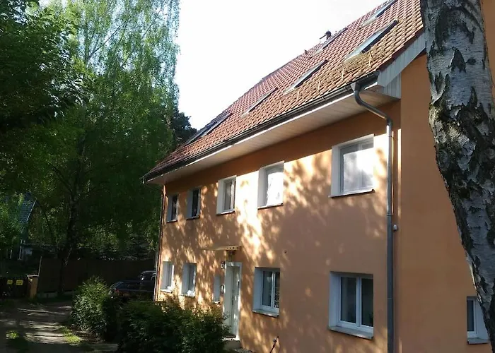 Private Souterrain In The Of Berlin Daire